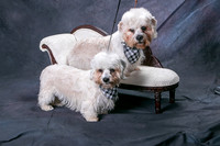 IMG-8893