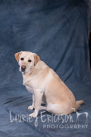 IMG-9153