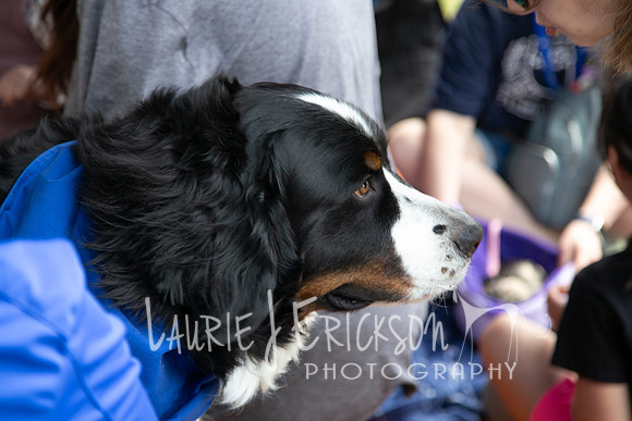 IMG_1165