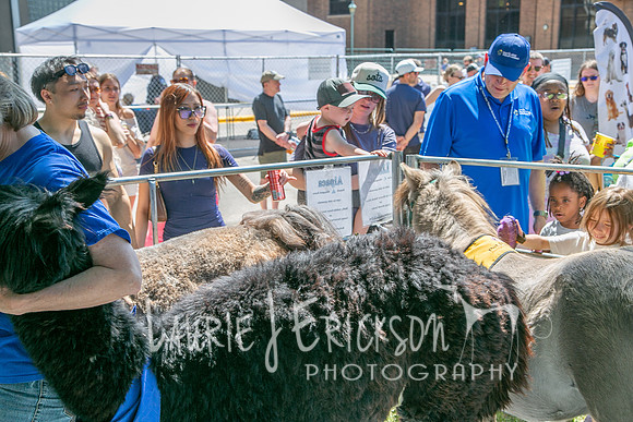 IMG_2302