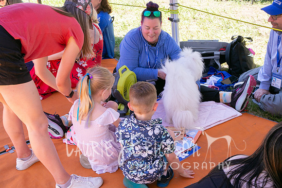 IMG_2388