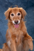 IMG_2460