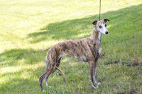 LaFortune 6-18-2026
