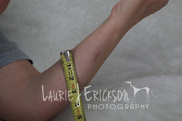 LJE_1535
