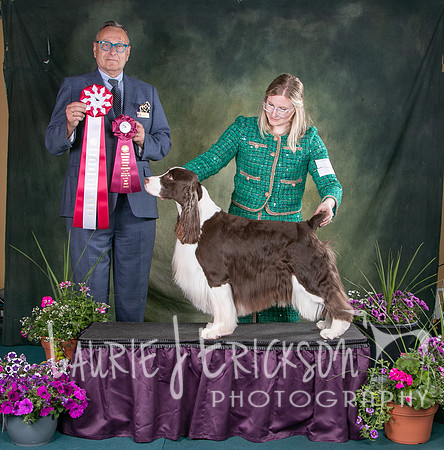 IMG_8617