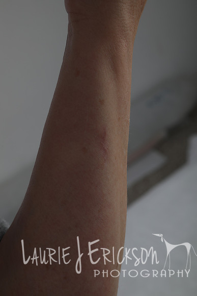 LJE_1540