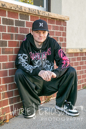 LJE_1290