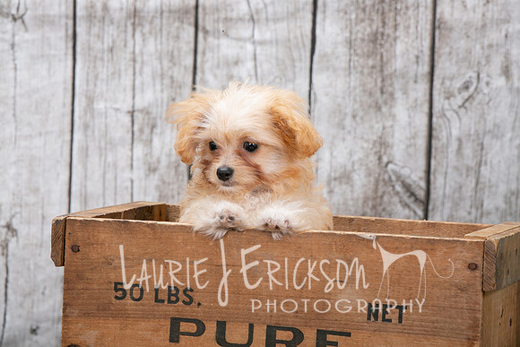 IMG_2025