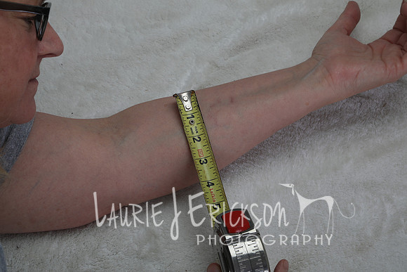 LJE_1533