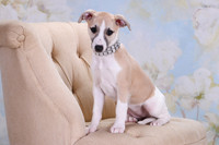 Rogers, Cassie 6-5-2021