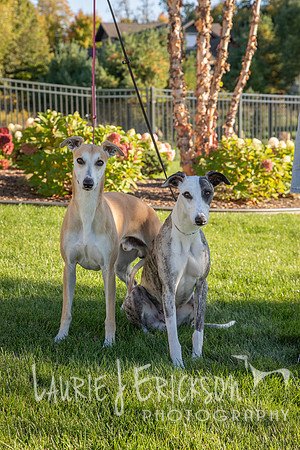 LJE_0379