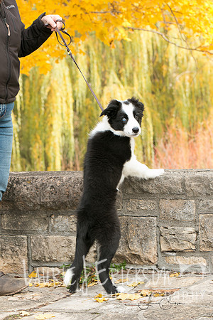IMG-9997