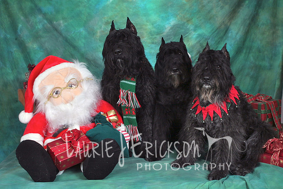 IMG_5243
