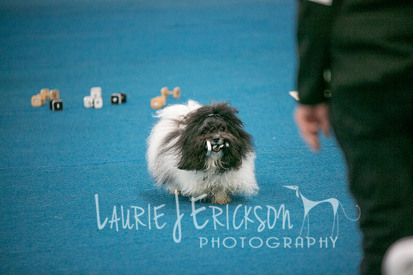 IMG_9615