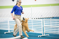 Obedience Saturday