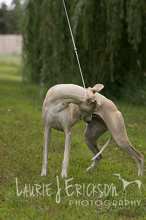 IMG-5651