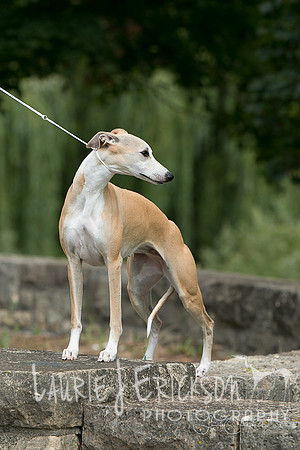 IMG-5608