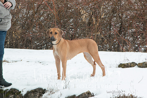 IMG-2289