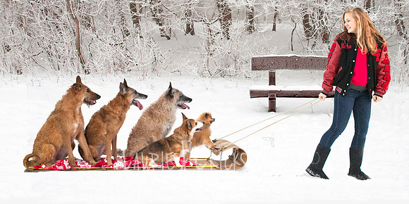 Lund winter