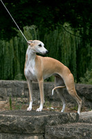 IMG-5595