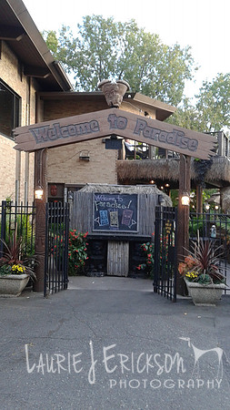 2015-10-07 18.05.11