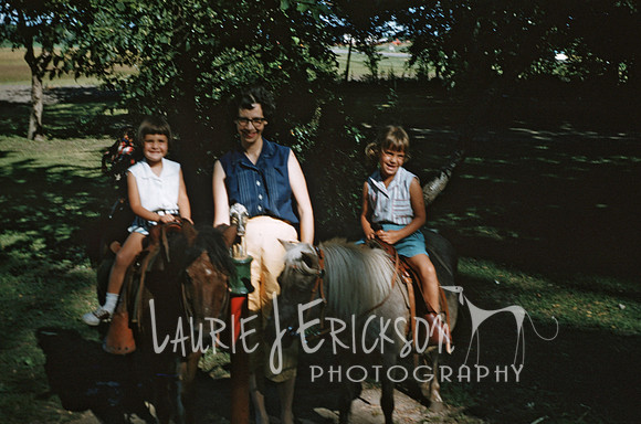 image-0026