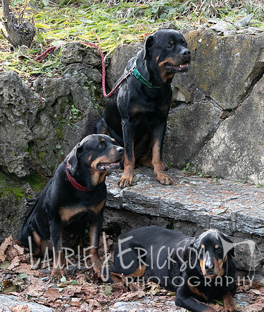 IMG_0020