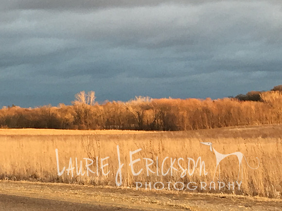 2016-02-28 17.37.24