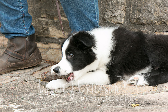 IMG-9981