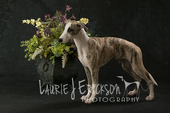 IMG_2976