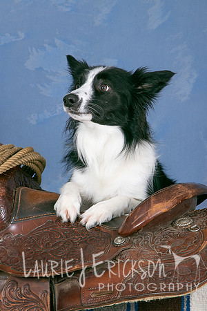 IMG-0538