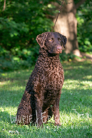 IMG_3435