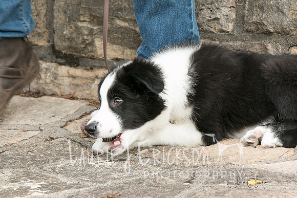IMG-9982