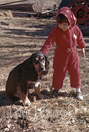 image-0007