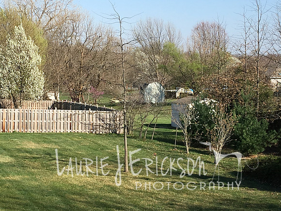 2017-03-23 16.39.41