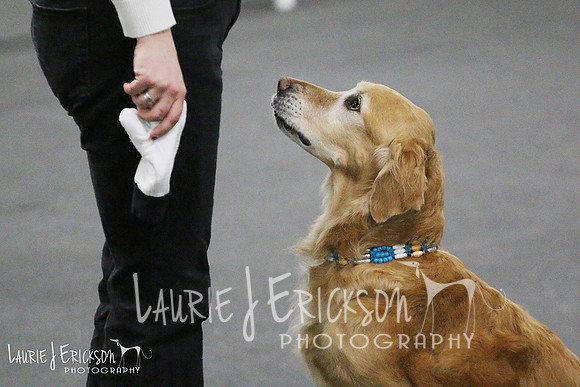 IMG_1567 copy