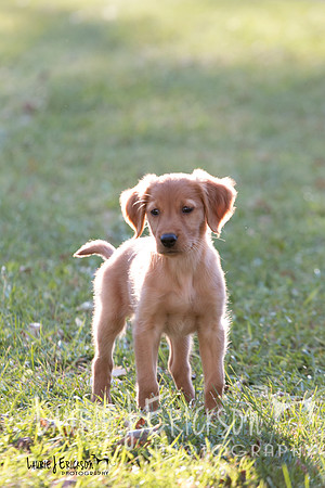 IMG_7126