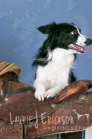 IMG-0537