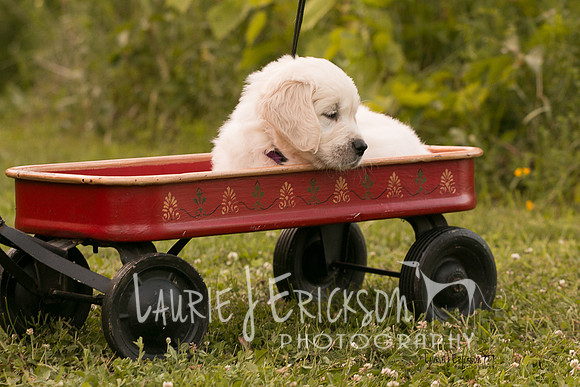 IMG-0383