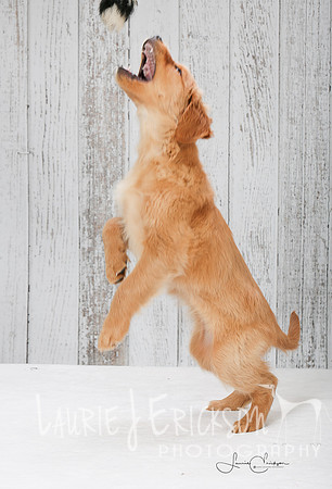 IMG-2759