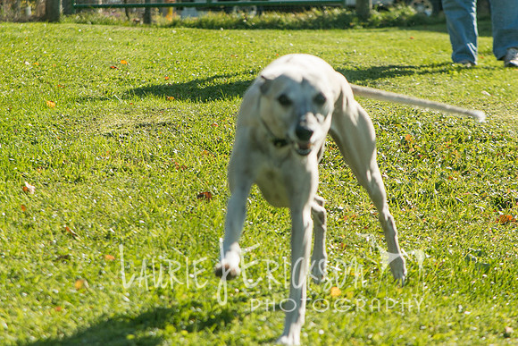 IMG-3936