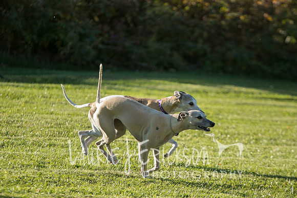 IMG-4096