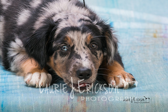 LJE-1171