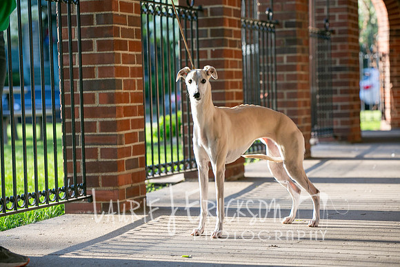 IMG_1511