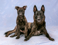 Sather, Heather 9-11-2023