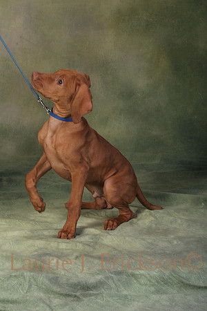 IMG_8434