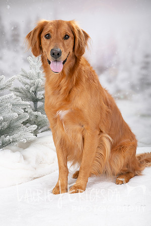 IMG_5129
