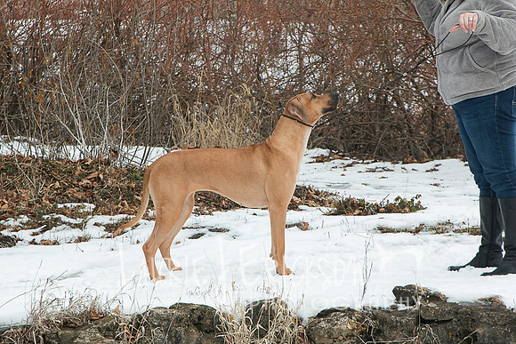 IMG-2303