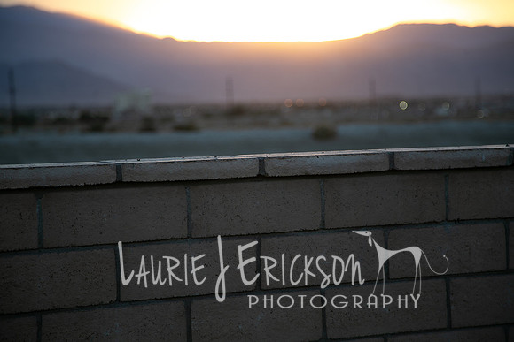 IMG_2992