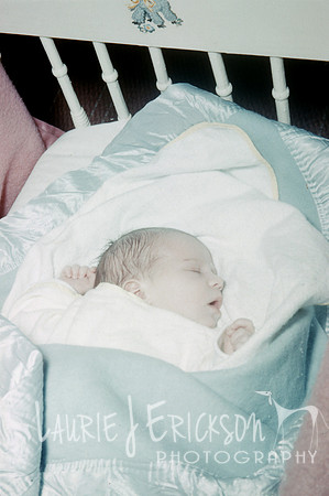 image-0013